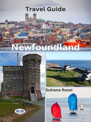 cover image of Newfoundland Travel Guide
